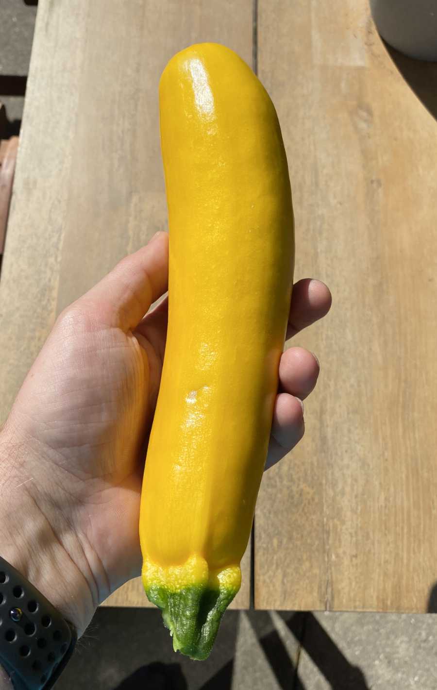 Eigene Zucchini
