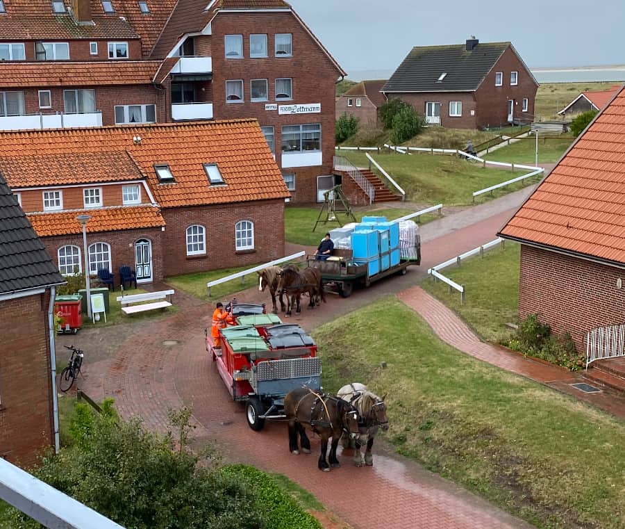 Pferdekarren mit Container muss hinter der „Müllabfuhr“ warten