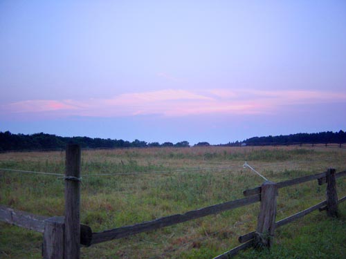 Abendhimmel über Wiese